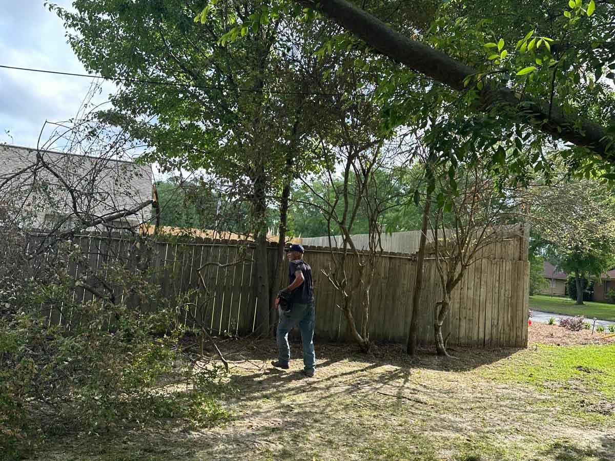 El Costeño Tree Service LLC